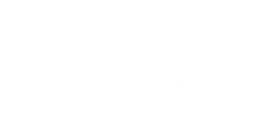 Sonia Mazetto — Gestão de Potencial Humano
